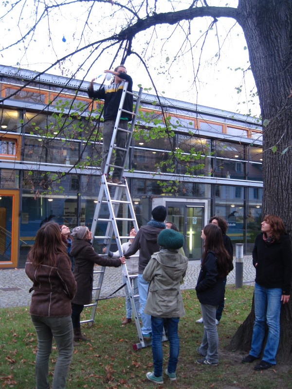 Baum Ballon abhängen